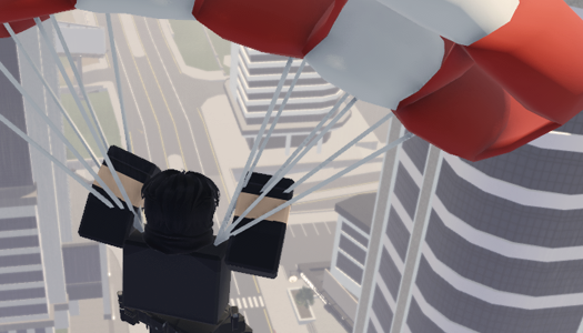 Expert Thief