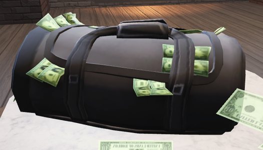 The Heaviest Bag