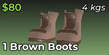 Brown Boots